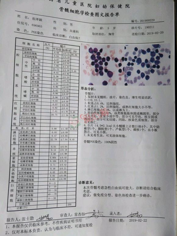 这种严重不?是不是必须骨髓移植?是急性淋巴白血病.